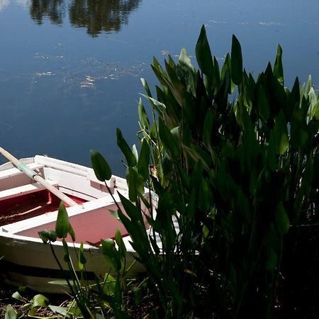 Brejao Herdades Da Frupor - Casas De Campo المظهر الخارجي الصورة